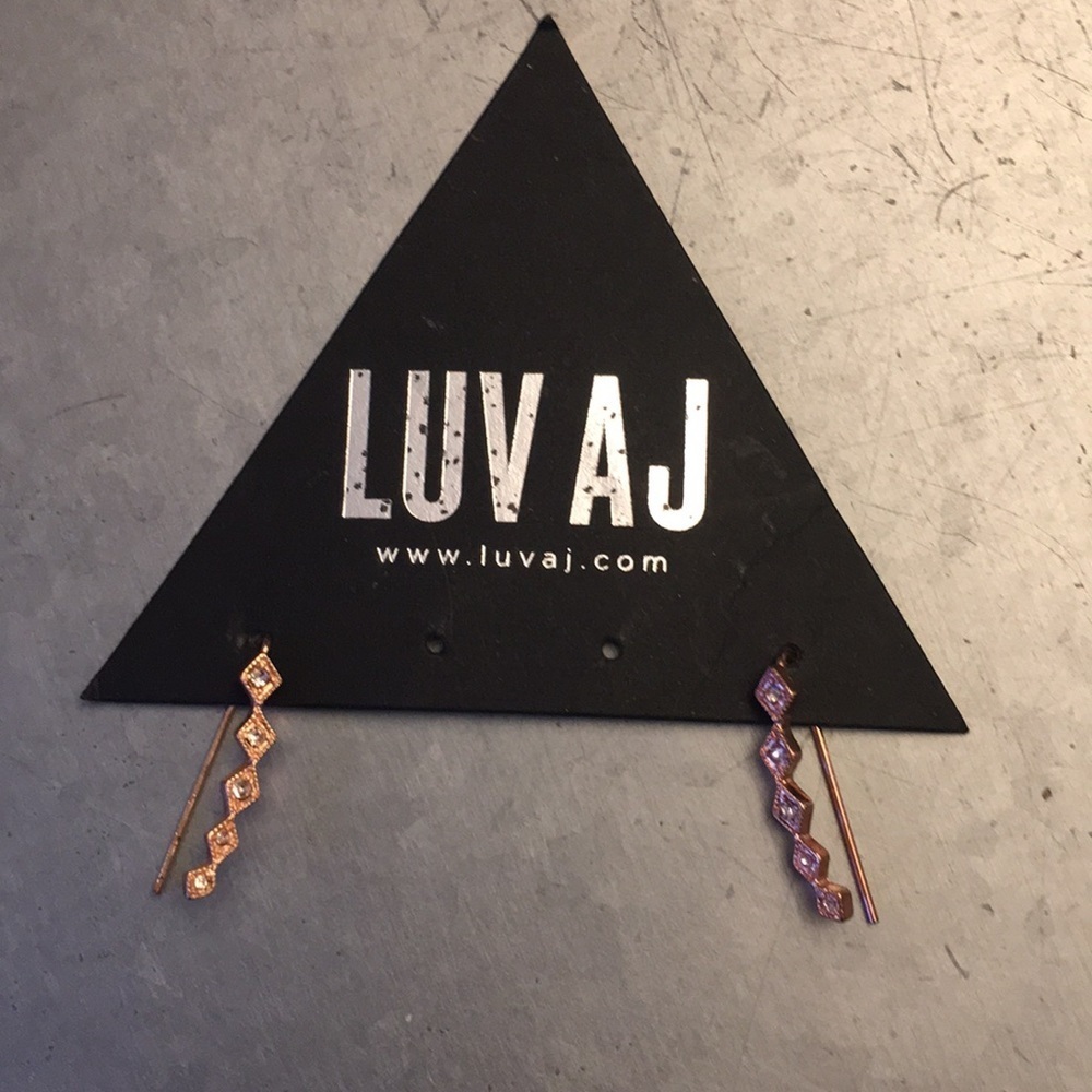 LUV AJ rose gold earrings